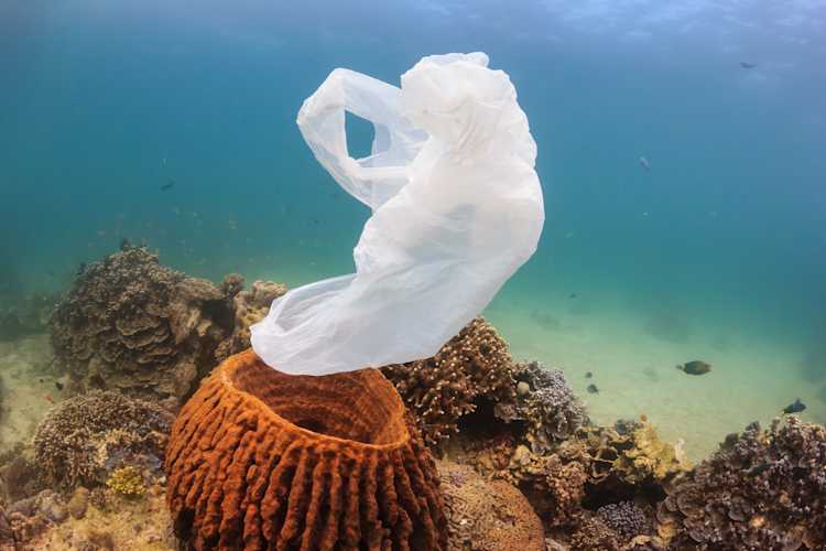 PlasticBags leadXL